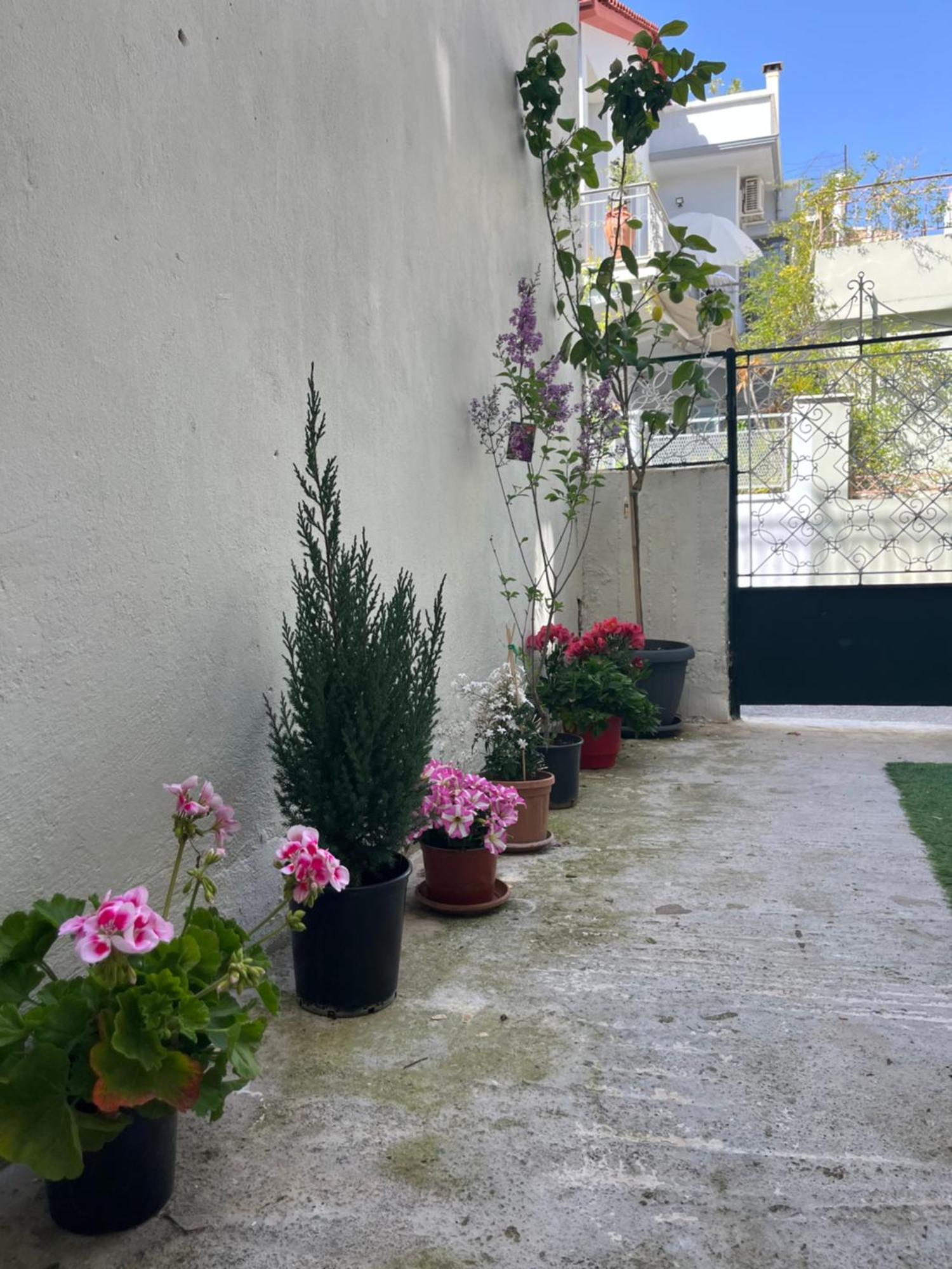 Noa - Designed Garden Studio In The City Center カラマタ エクステリア 写真